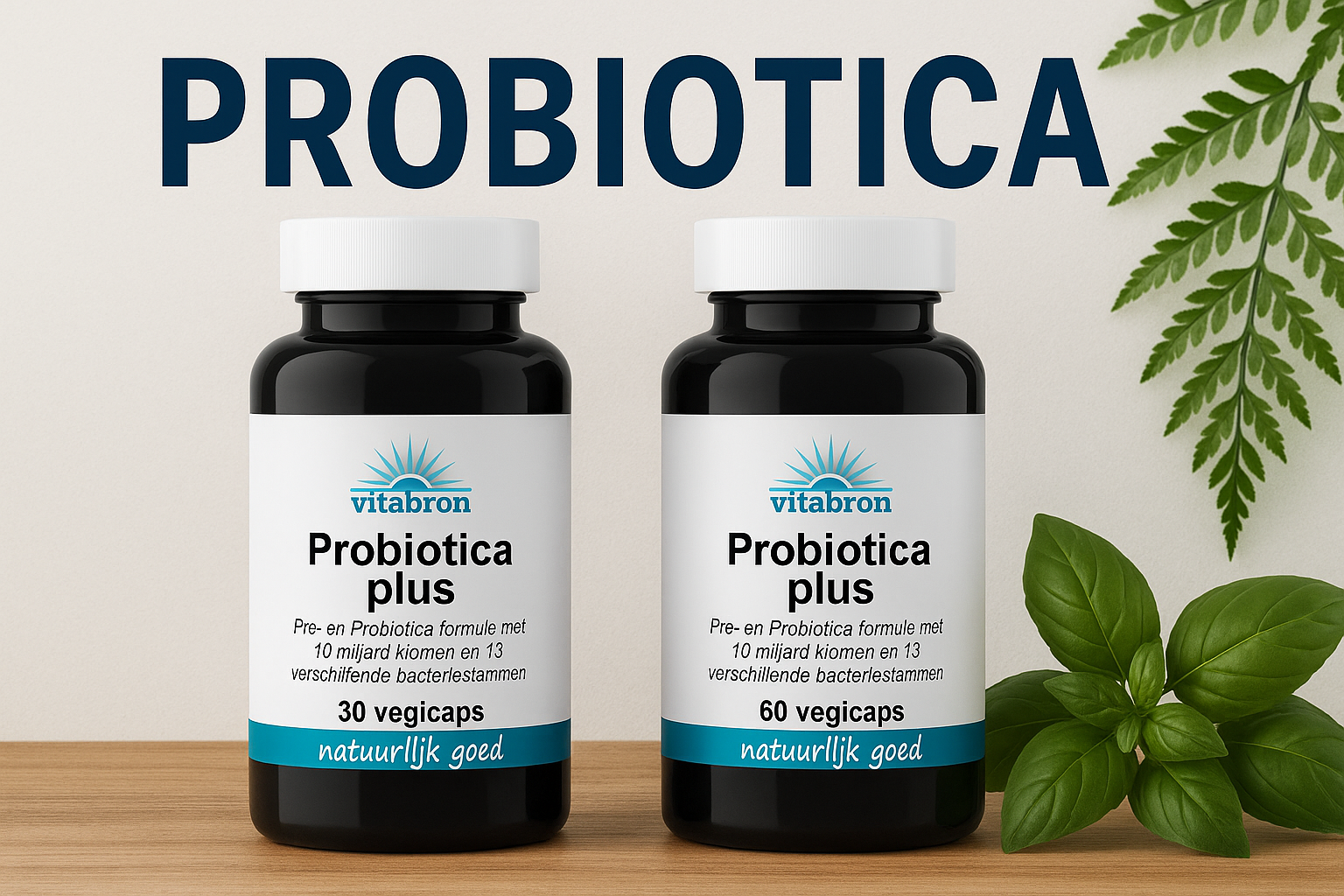blog-probiotica