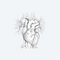 Hart- & Bloedvaten