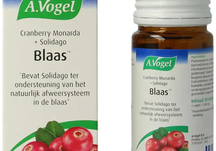A Vogel Cranberry monarda