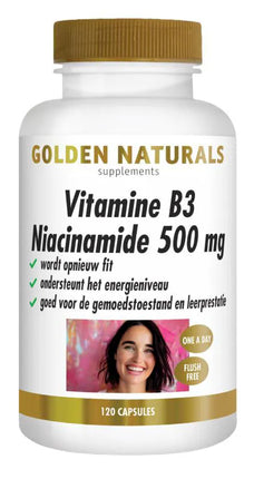 Golden Naturals Vitamine B3 Niacinamide 500 mg