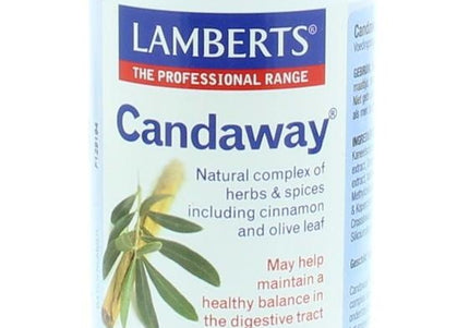Lamberts Candaway