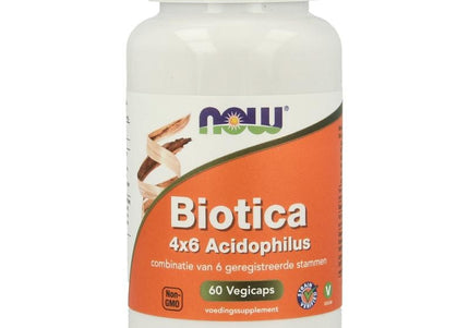 NOW Biotica 4x6 vh probiotica