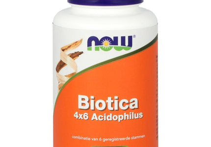 NOW Biotica 4x6 vh probiotica