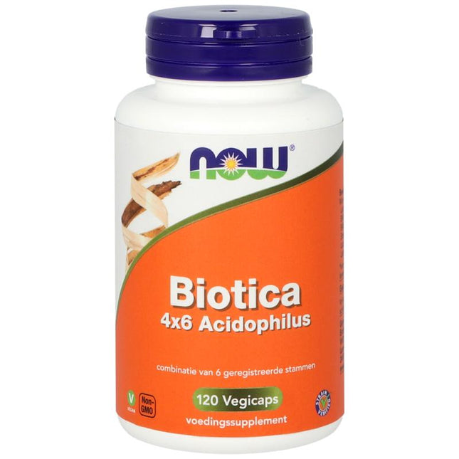 NOW Biotica 4x6 vh probiotica
