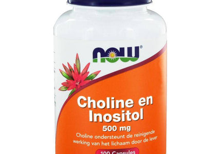 NOW Choline en inositol 500mg