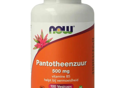 NOW Pantotheenzuur 500mg (B5)