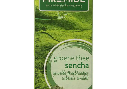 Piramide Groene thee sencha