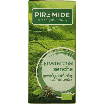 Piramide Groene thee sencha