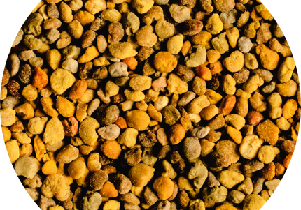 Vitabron Bijenpollen/Stuifmeelkorrels