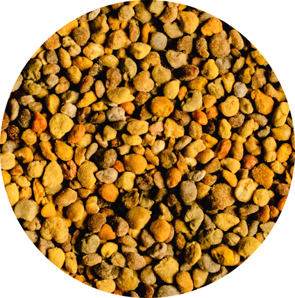 Vitabron Bijenpollen/Stuifmeelkorrels