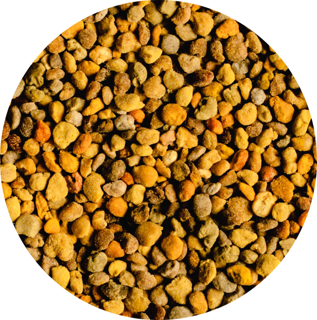 Vitabron Bijenpollen/Stuifmeelkorrels