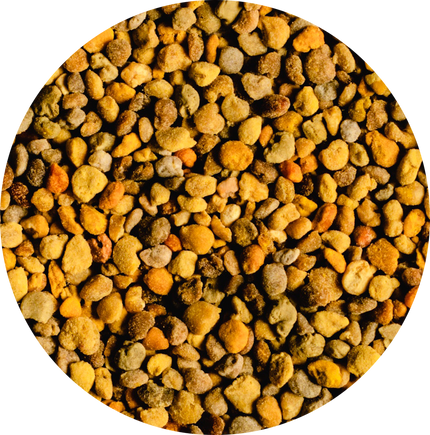 Vitabron Bijenpollen/Stuifmeelkorrels