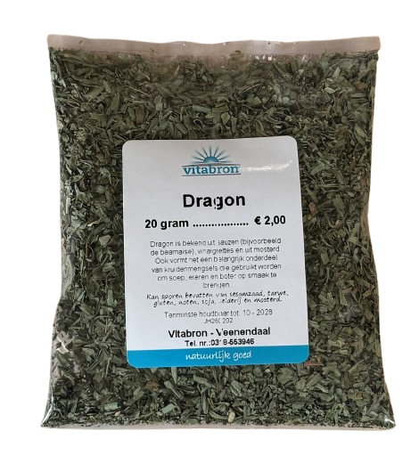Vitabron Dragon