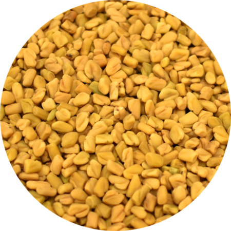 Vitabron Fenegriekzaad