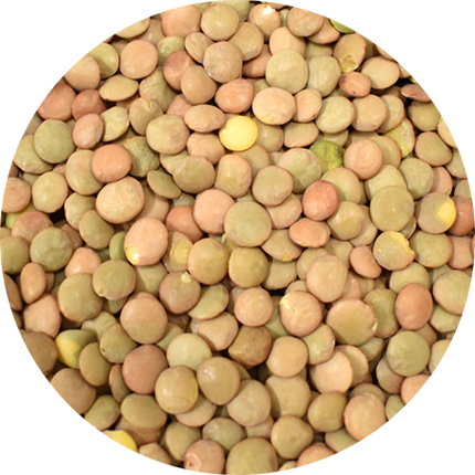 Vitabron Groene linzen
