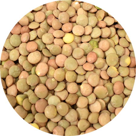 Vitabron Groene linzen