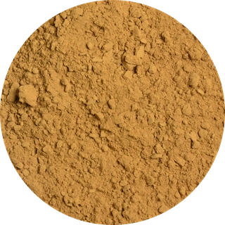 Vitabron Kaneel Cassia gemalen