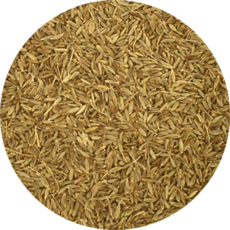 Vitabron Komijnzaad