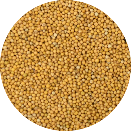 Vitabron Mosterdzaad geel