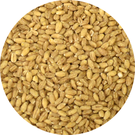 Vitabron Parelgort