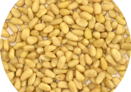 Vitabron Pijnboompitten