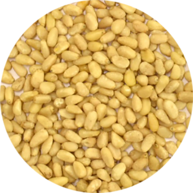 Vitabron Pijnboompitten
