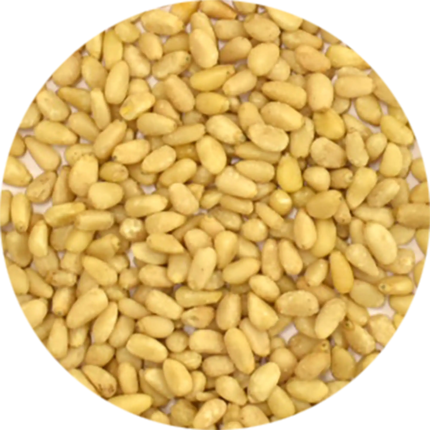 Vitabron Pijnboompitten
