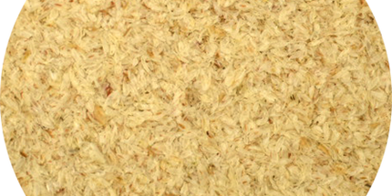 Vitabron Psylliumvezels | 100% Pure Vlozaadvezels