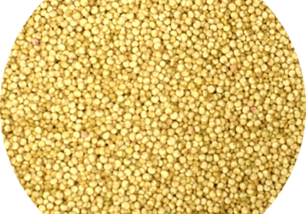 Vitabron Quinoa