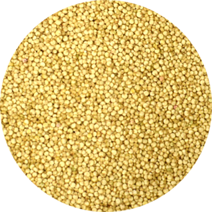 Vitabron Quinoa