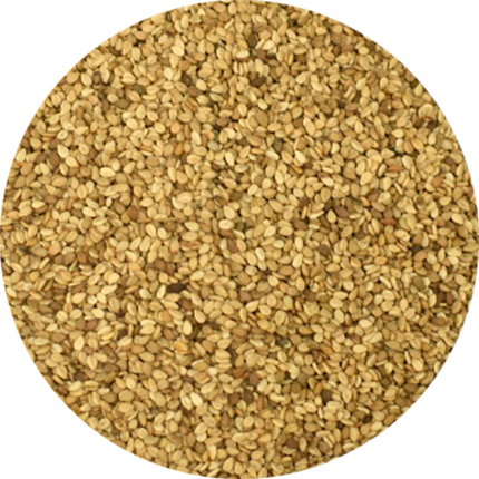 Vitabron Sesamzaad
