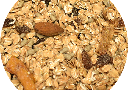 Vitabron Speltmuesli