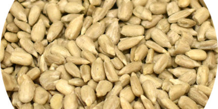Vitabron Zonnebloempitten